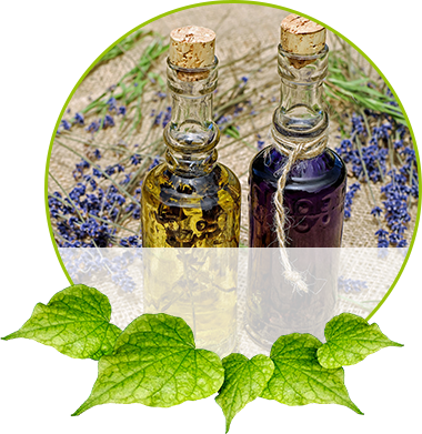 METEORA GmbH - Produkte - Öle/Honig