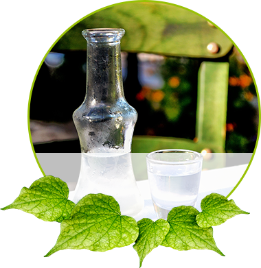 METEORA GmbH - Produkte - Ouzo