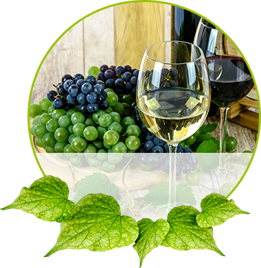 METEORA GmbH - Produkte - Weine